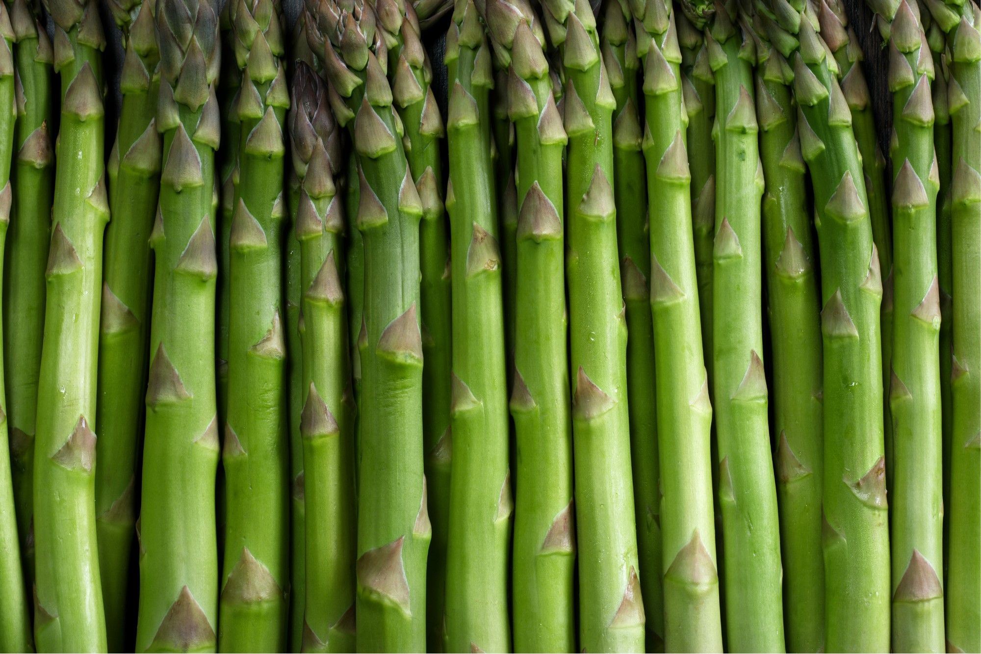Spargel Spargel