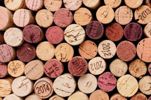 Weinseminar Weinseminar